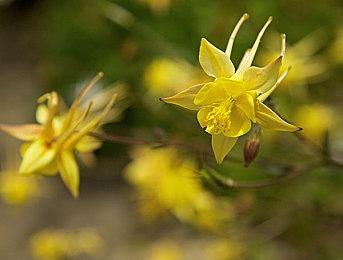 《绝地潜兵2》x《杀戮地带2》联动现已正式推出